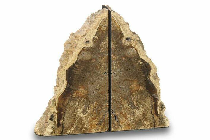 Petrified Wood (Oak) Bookends - Oregon #271128